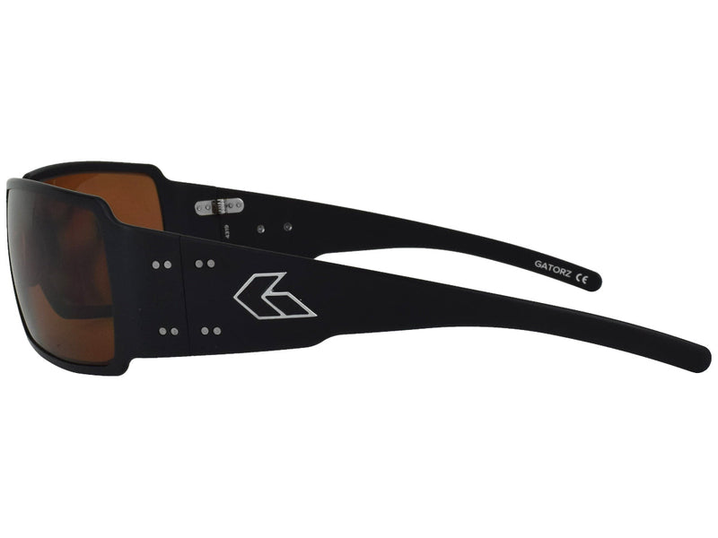 Black/ Brown Polarized